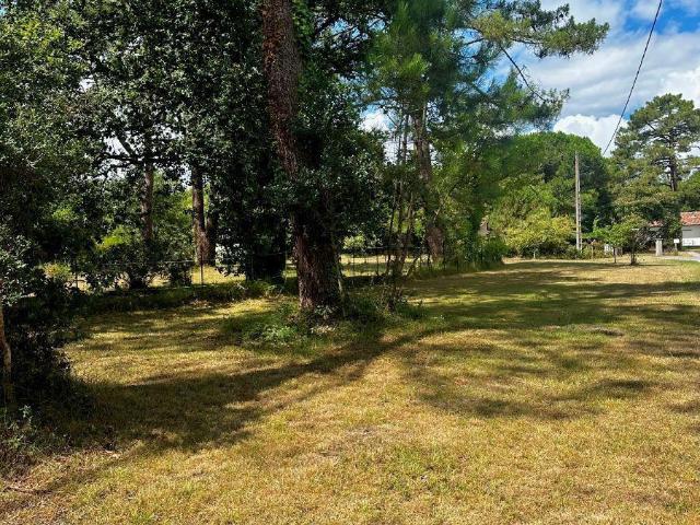 Maison vente à France métropolitaine, Seignosse
