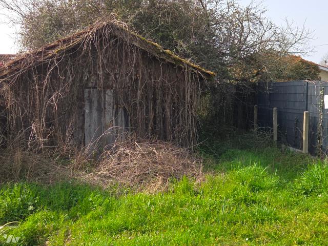 Maison vente à Arcachon, Le Teich