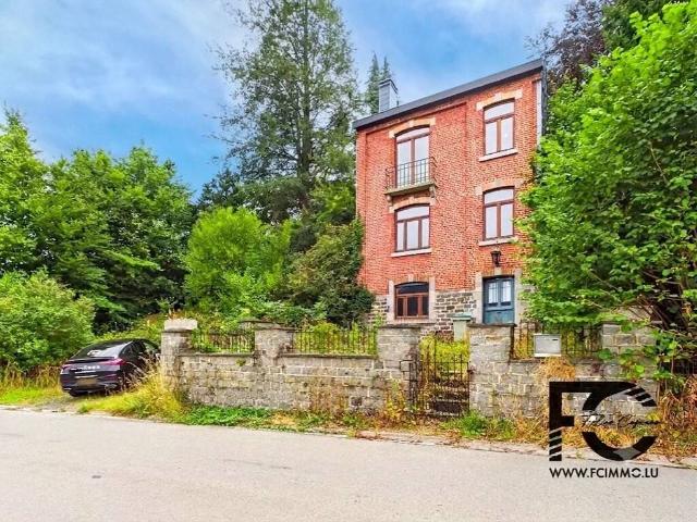 Maison vente à Tenneville, Wallonie