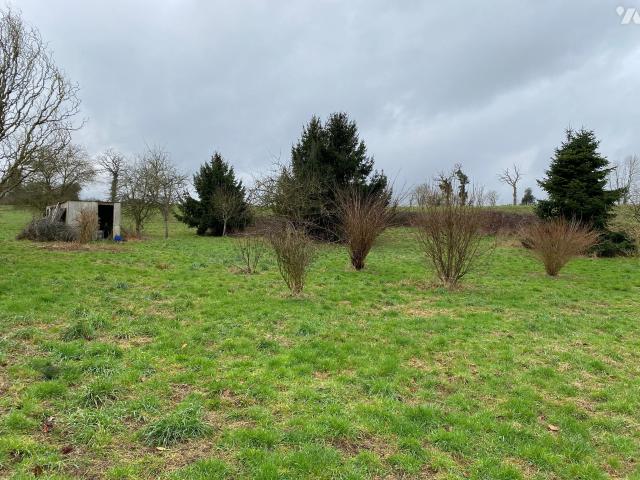 Maison vente à Vire, Normandie
