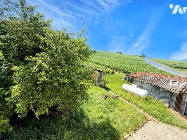 Maison vente à Épernay, Vauciennes