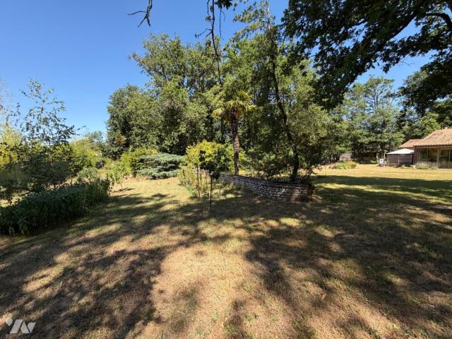 Maison vente à Châtellerault, Verrue