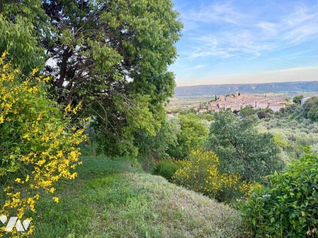 Maison vente à Forcalquier, Provence-Alpes-Côte d'Azur