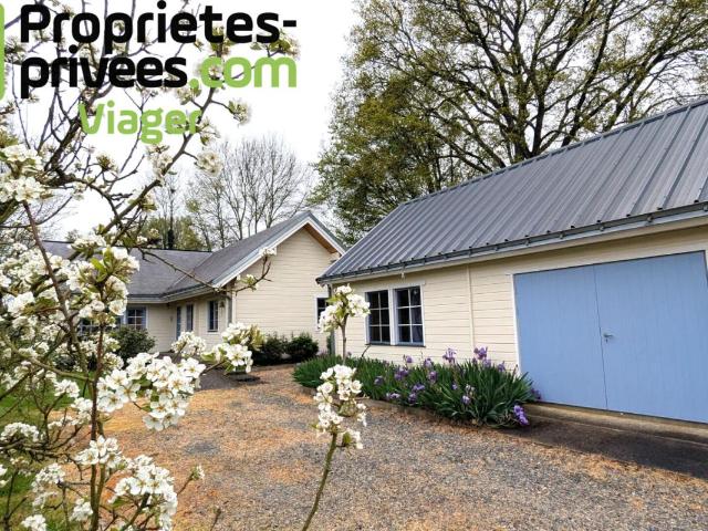 Maison vente à Segré