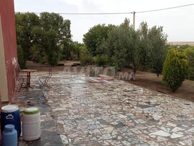 Propriété vente à Settat, Gharb-Chrarda-Beni Hssen