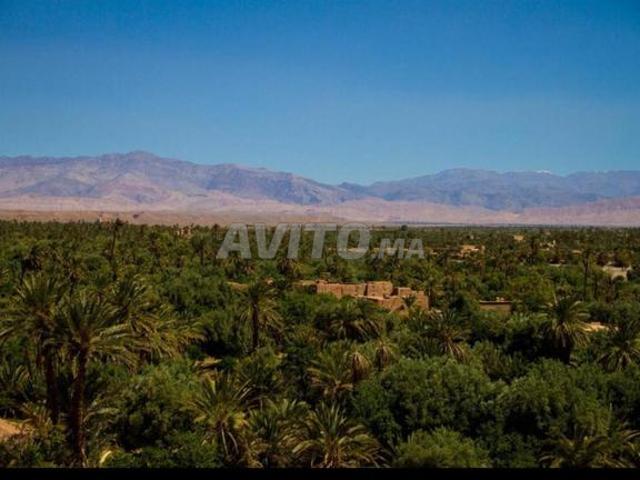 Propriété vente à Ouarzazate