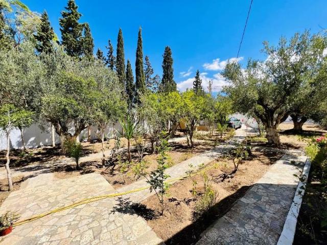 Maison location à Beni Khalled