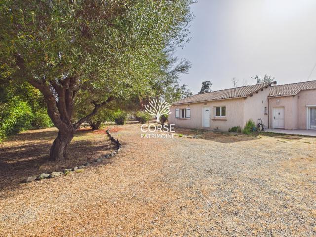 Maison vente à Corte, Prunelli-di-fiumorbo