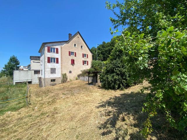 Haus kaufen