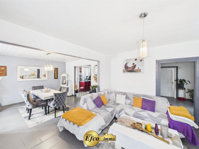 Maison vente à Mulhouse, Petit-landau