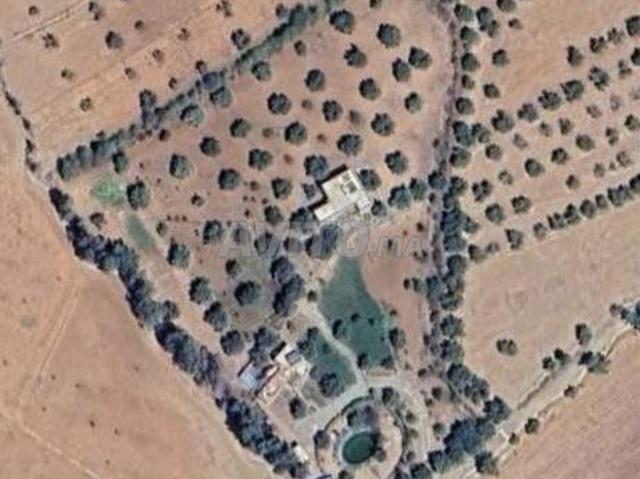 Propriété vente à Al Haouz, L'Oriental