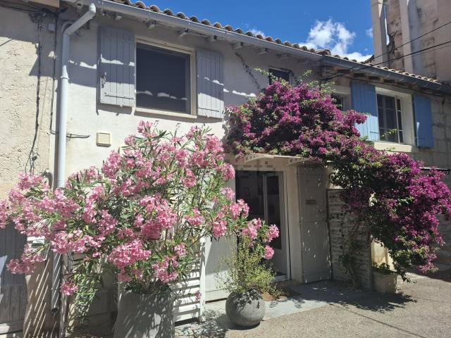 Maison vente à Fontvieille, Bouches-du-Rhône