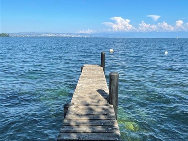Einfamilienhaus kaufen in Hermance, Genf