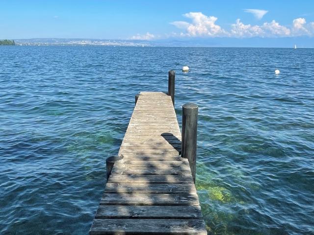 Reihenfamilienhaus kaufen in Hermance, Genf