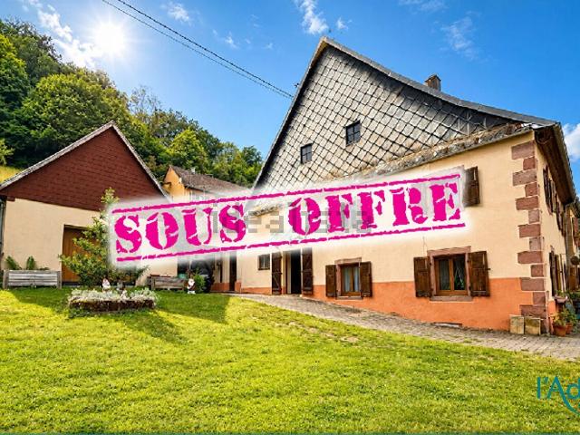 Maison vente à Fréland, Collectivité européenne d'Alsace