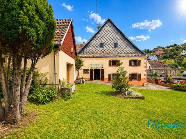 Maison vente à Colmar-Ribeauvillé, Fréland
