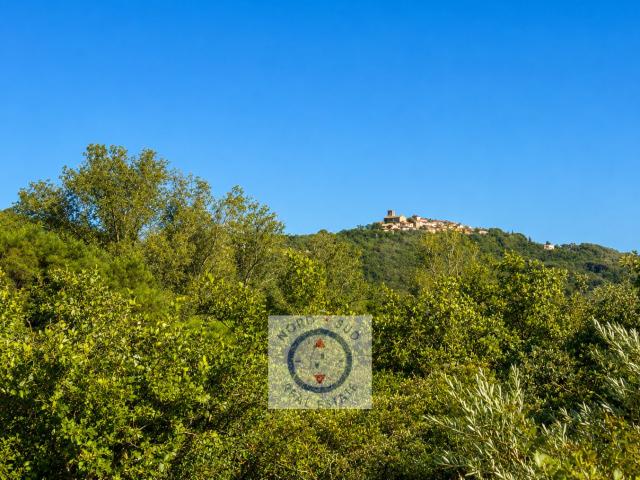 Maison vente à Arrondissement de Draguignan, Gassin