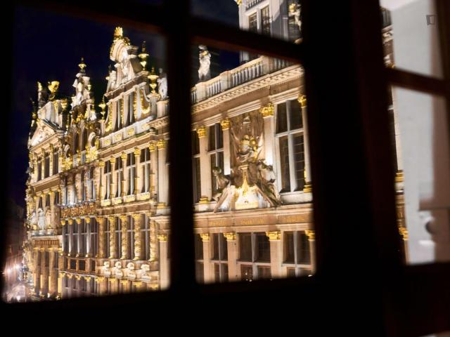 Studio location à Brussels