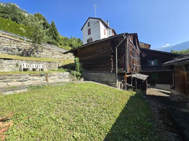 Einfamilienhaus kaufen