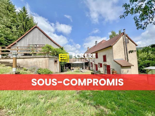 Maison vente à Grendelbruch, Collectivité européenne d'Alsace