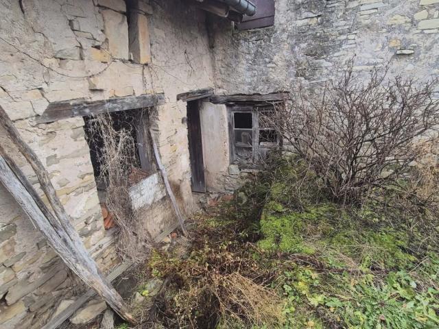 Maison vente à Nancy, Gripport