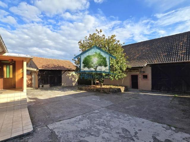 Maison vente à Gunstett, Collectivité européenne d'Alsace