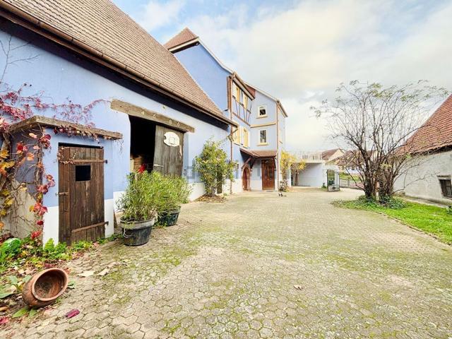 Maison vente à Hattstatt, Collectivité européenne d'Alsace