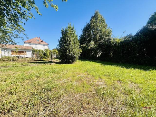 Maison vente à Andolsheim, Collectivité européenne d'Alsace