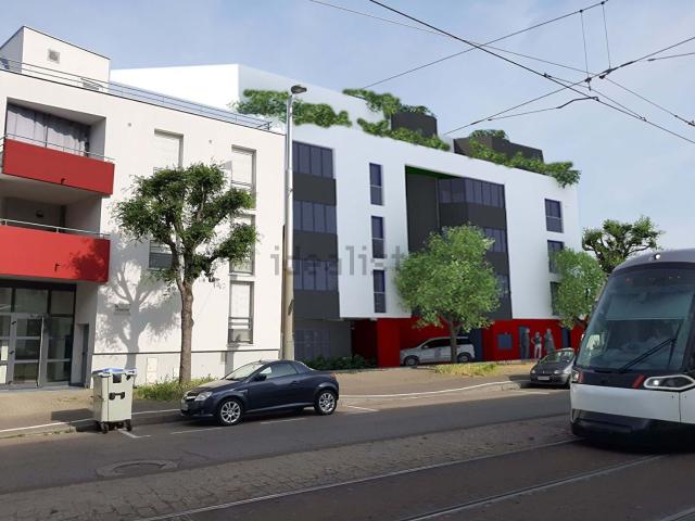 Maison vente à Illkirch-Graffenstaden, Collectivité européenne d'Alsace