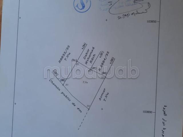 Terrain vente à Essaouira, L'Oriental