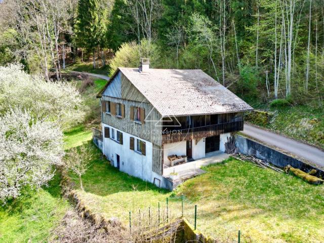 Maison vente à Thonon-les-Bains, La Vernaz