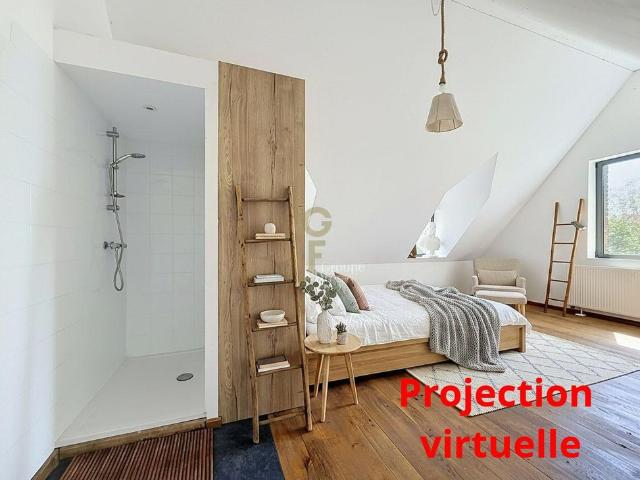 Maison location à Lille, Willems