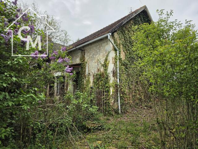 Maison vente à La Chaussée, Ingrandes