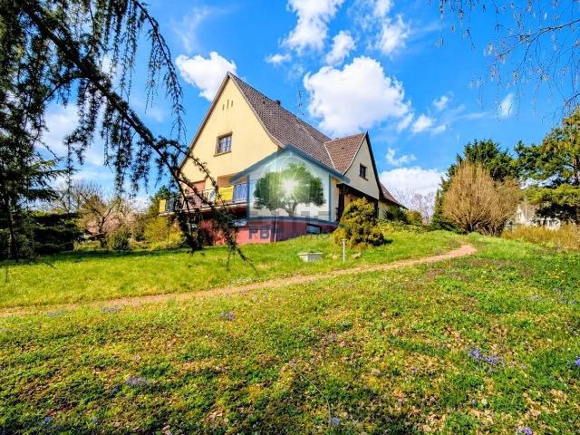 Maison vente à Ingwiller, Collectivité européenne d'Alsace