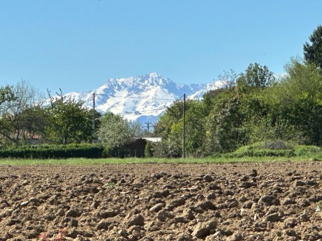 Maison vente à Tarbes, Puntous