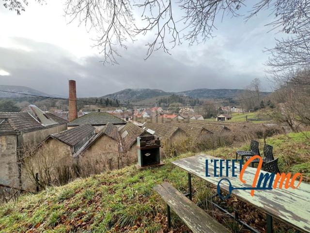 Maison vente à Jungholtz, Collectivité européenne d'Alsace
