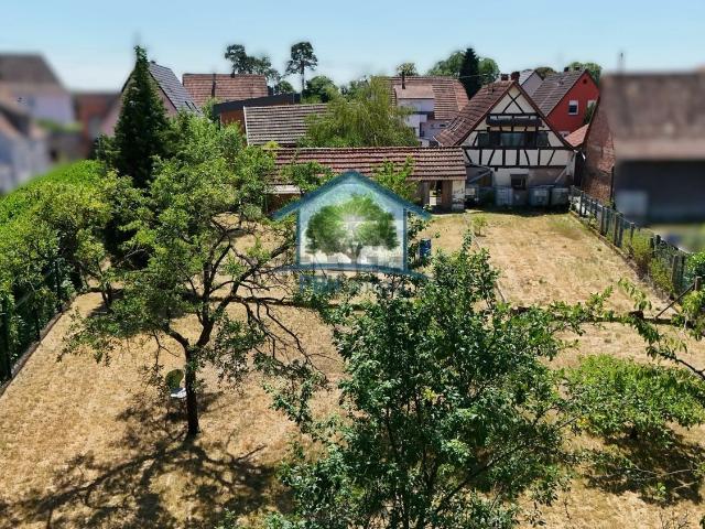 Maison vente à Kaltenhouse, Collectivité européenne d'Alsace