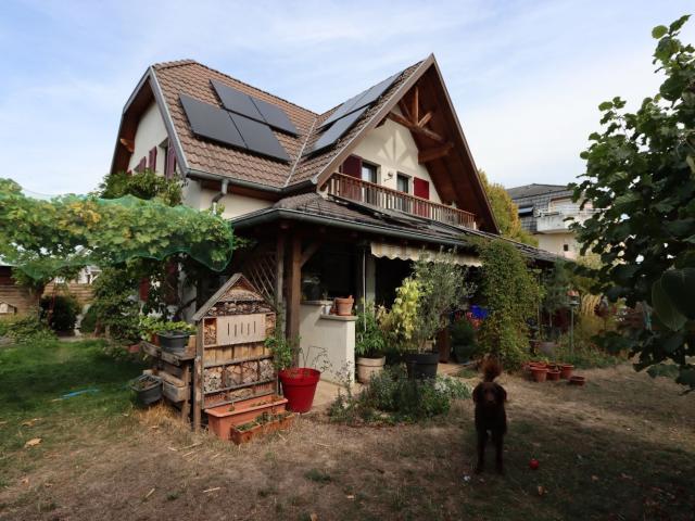 Maison vente à Kembs, Collectivité européenne d'Alsace