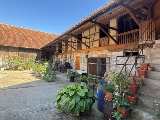 Maison vente à Kleingœft, Collectivité européenne d'Alsace