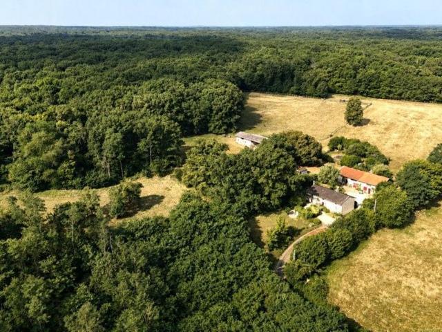 Maison vente à La Plaine, La Tranclière