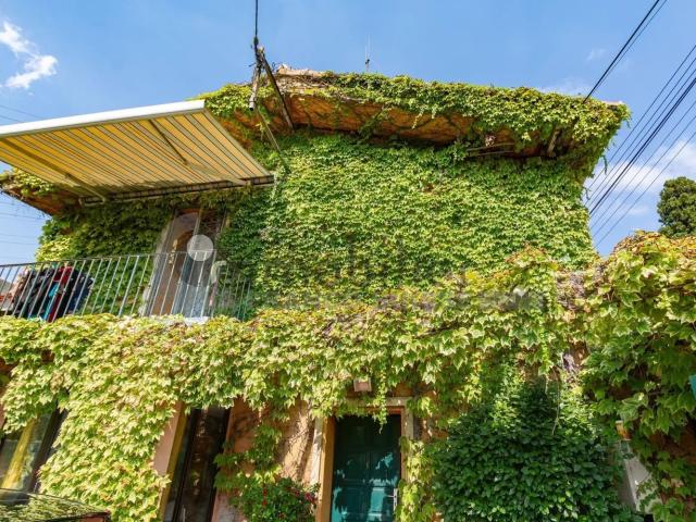 Maison vente à Le Négron, La Trinité