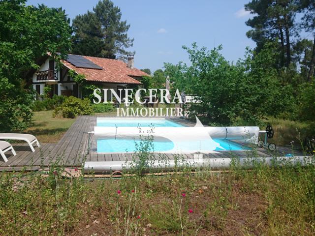 Maison vente à Pissos