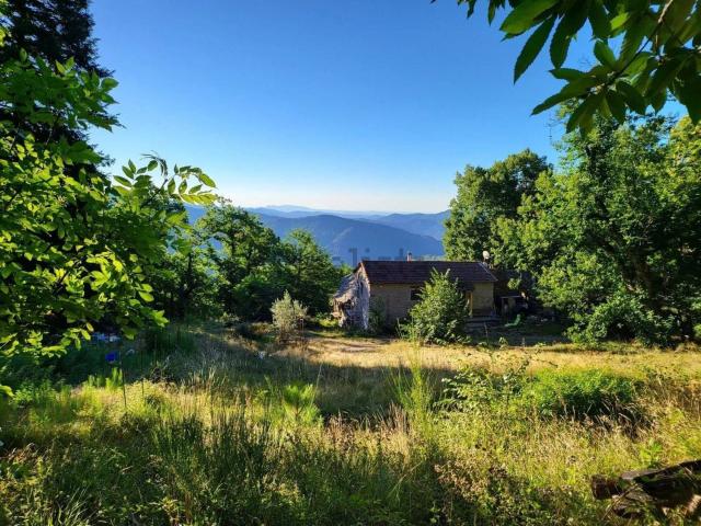 Maison vente à Le Castanet, Le Collet-de-Dèze
