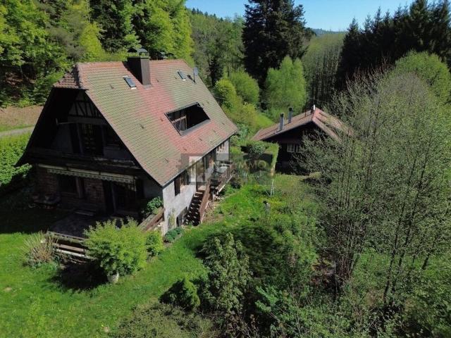 Maison vente à Le Hohwald, Collectivité européenne d'Alsace