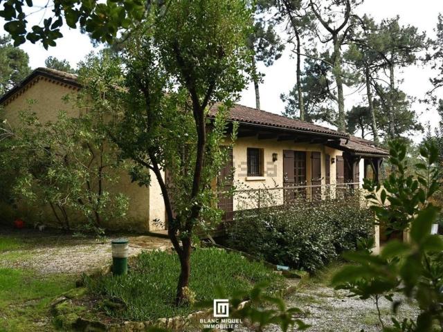 Maison vente à Lot Templier, Lège-Cap-Ferret