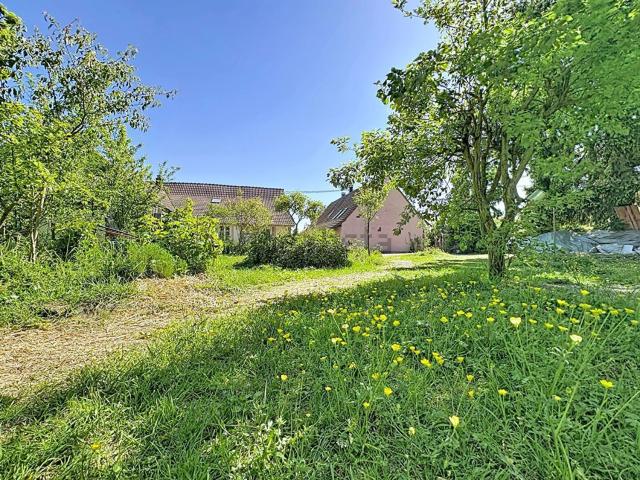 Maison vente à Lochwiller, Collectivité européenne d'Alsace