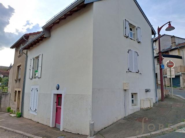 Maison location à Saint-etienne, La Purinière