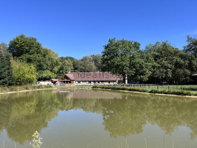 Maison vente à Saint-Lazare, Lorris