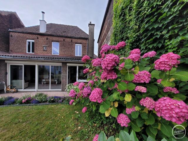 Maison vente à Liauwette, Lumbres