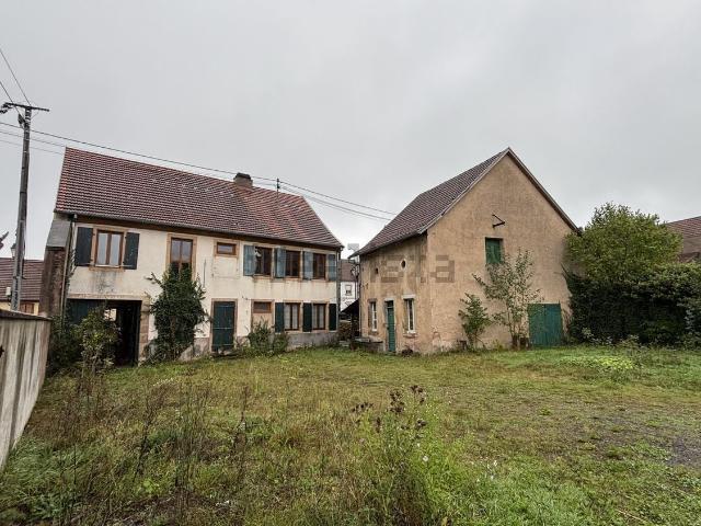 Maison vente à Lutzelhouse, Collectivité européenne d'Alsace